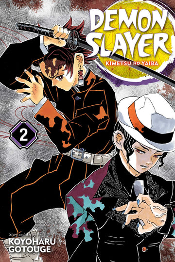 Demon Slayer: Kimetsu no Yaiba, Vol. 2 — manga cover