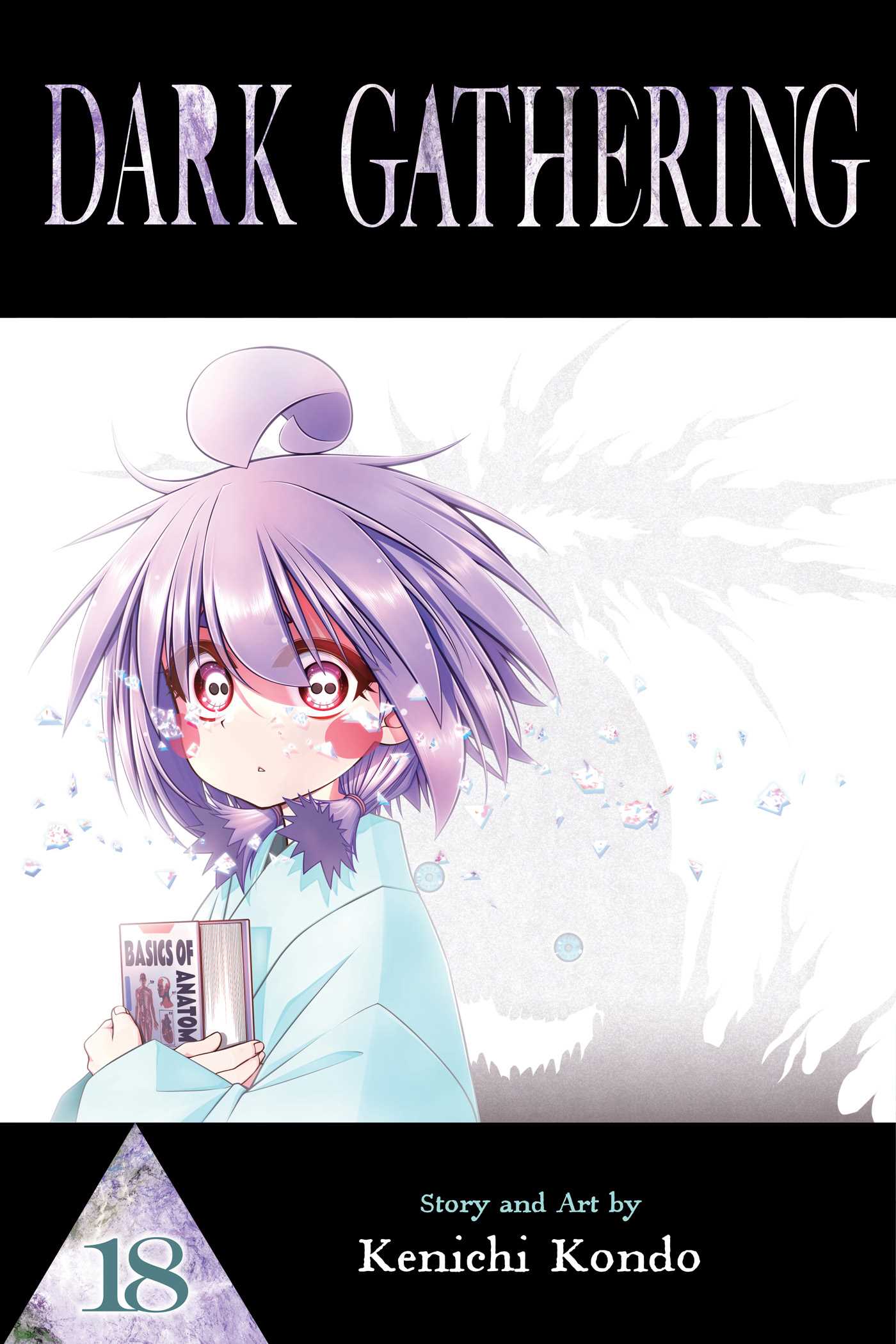 Dark Gathering, Vol. 18 — manga cover