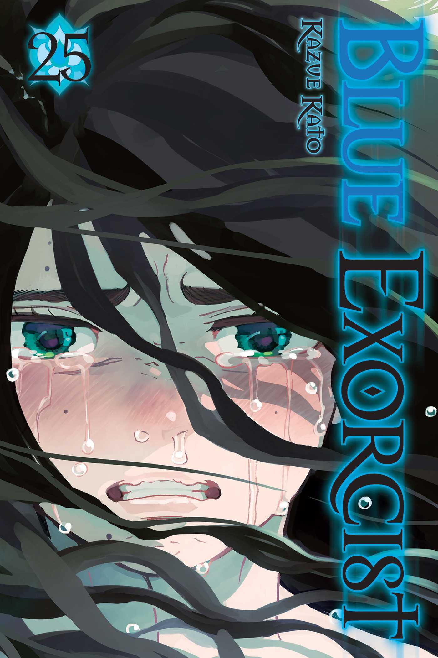 Blue Exorcist, Vol. 25 — manga cover
