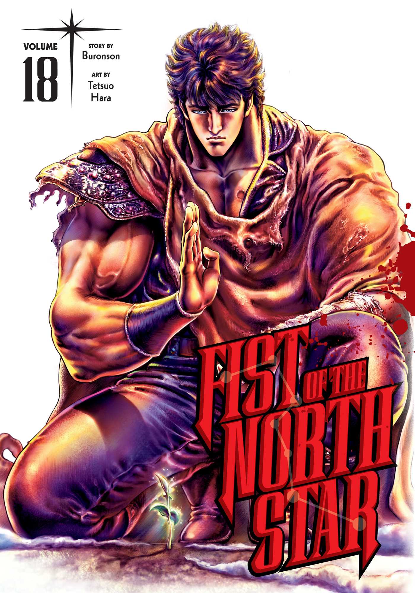 Fist of the North Star, Vol. 18 — manga cover