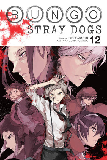 Bungo Stray Dogs, Vol. 12 — manga cover