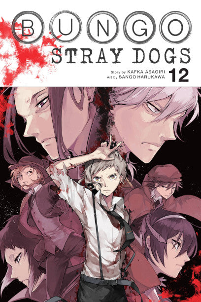 Bungo Stray Dogs, Vol. 12 — manga cover