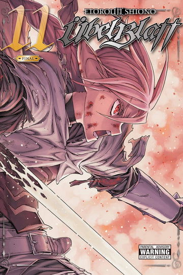 Ubel Blatt, Vol. 11 — manga cover