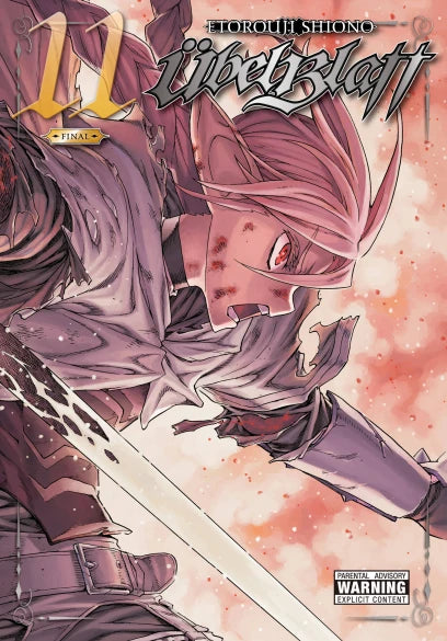 Ubel Blatt, Vol. 11 — manga cover