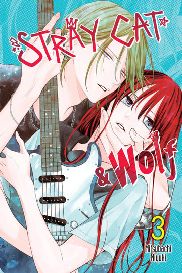 Stray Cat & Wolf, Vol. 3 — manga cover
