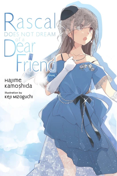 Rascal Does Not Dream of a Dear Friend (light novel) — light novel cover