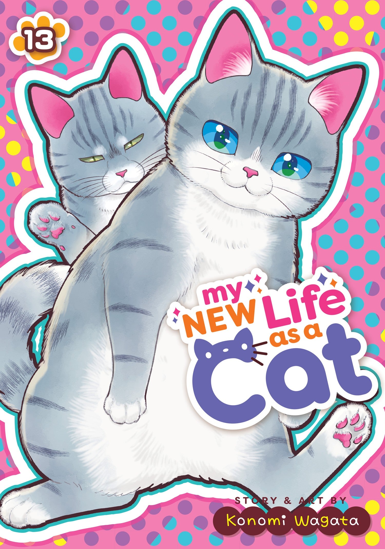 My New Life as a Cat Vol. 13 — manga cover