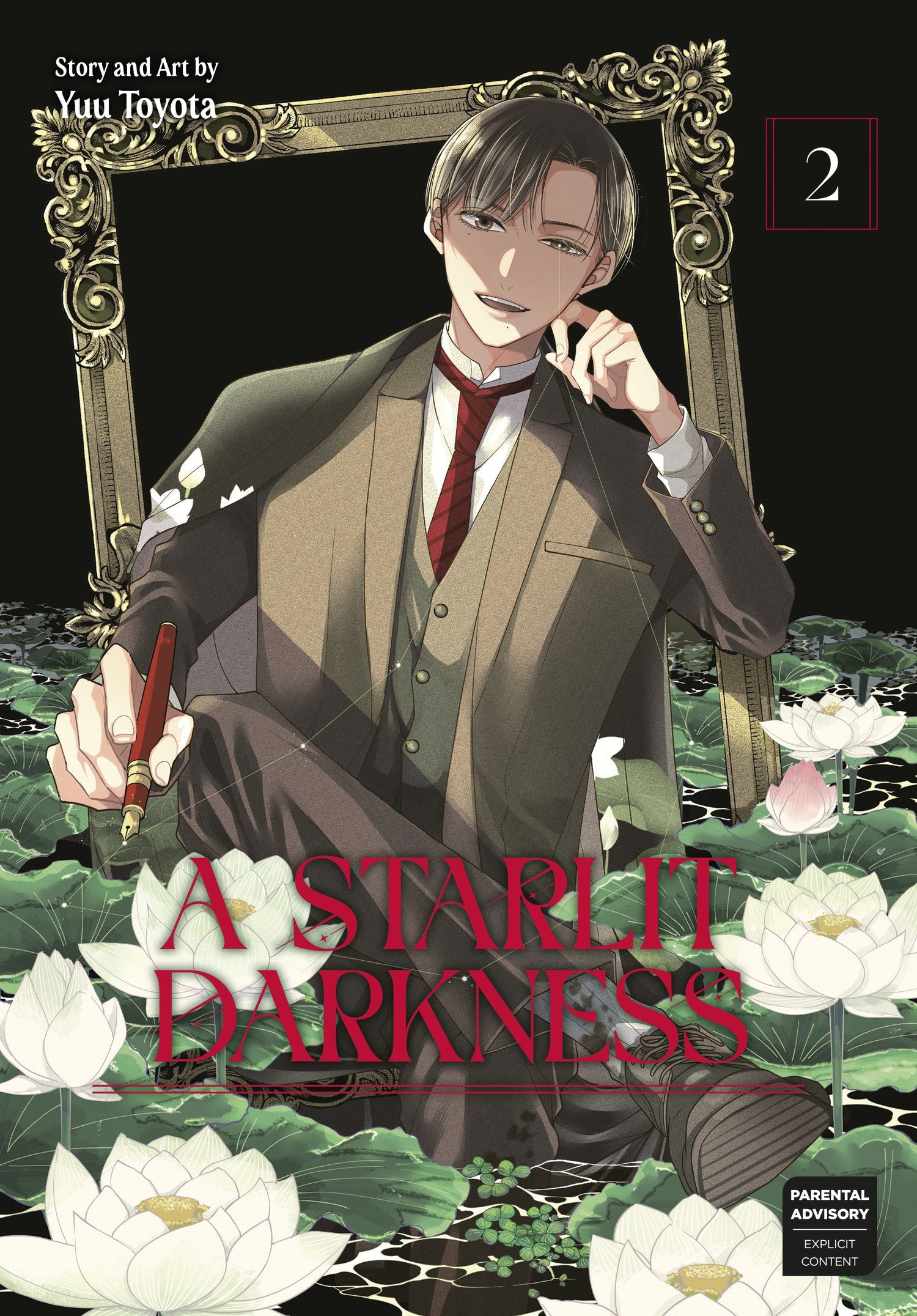 A Starlit Darkness 02 — manga cover