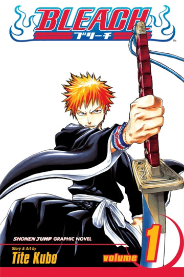 bleach_vol_1.jpg