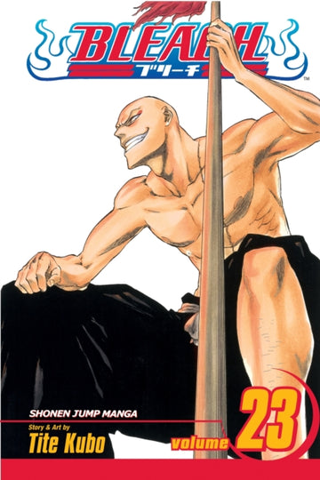 bleach_vol_23.jpg