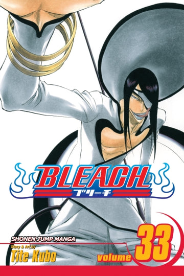 bleach_vol_33.jpg