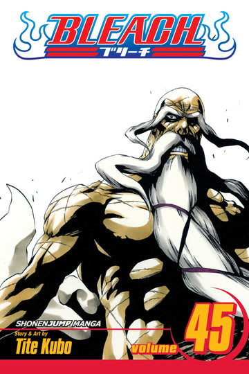 bleach_vol_45.jpg