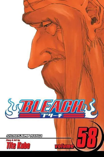 bleach_vol_58.webp