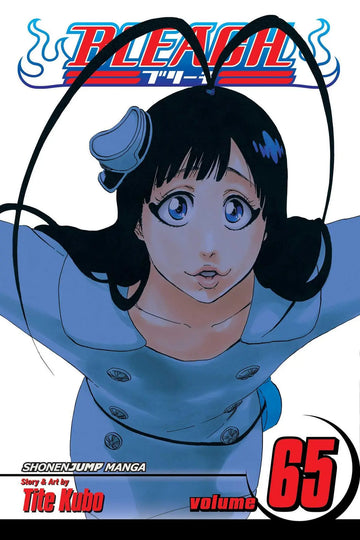 bleach_vol_65.webp
