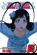Bleach, Vol. 65 (sold out)