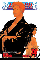 Bleach, Vol. 74