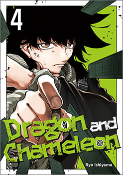 Dragon and Chameleon 06 — manga cover
