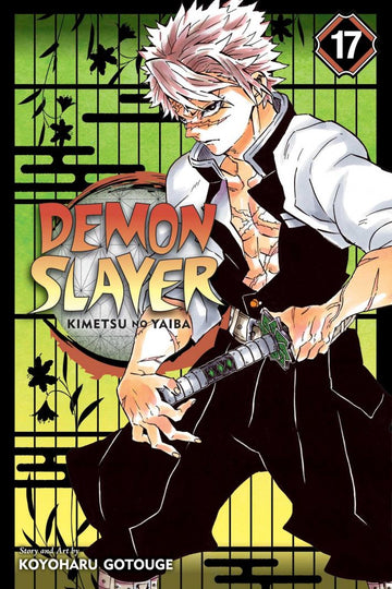 demon_slayer_kimetsu_no_yaiba_vol_17.jpg
