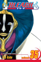 Bleach, Vol. 35