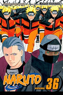 Naruto, Vol. 36