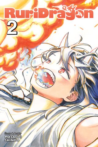 RuriDragon, Vol. 2 — manga cover