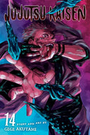 Jujutsu Kaisen, Vol. 14 (sold out)