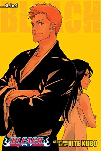 Bleach (2-in-1 Edition), Vol. 25 — manga cover