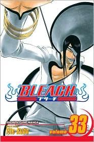 Bleach, Vol. 33