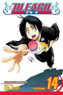 Bleach, Vol. 14 (sold out)