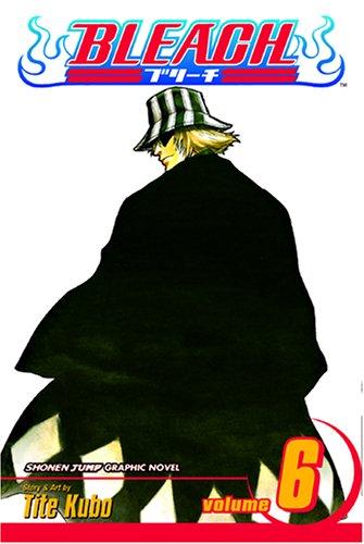 Bleach, Vol. 6
