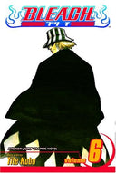 Bleach, Vol. 6