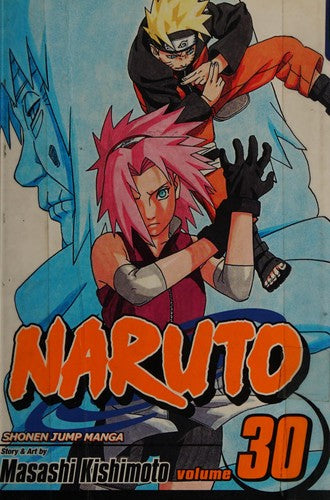 Naruto, Vol. 30