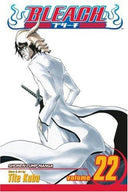 Bleach, Vol. 22 (sold out)