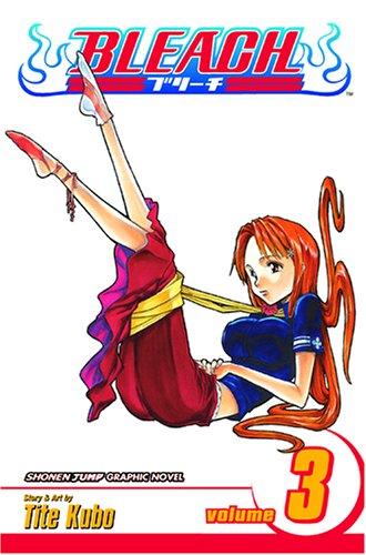 Bleach, Vol. 3