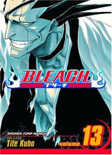 Bleach, Vol. 13